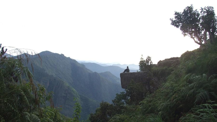 Dolphin's Nose viewpoint