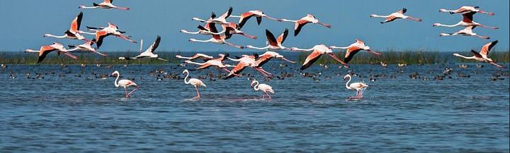 chilika