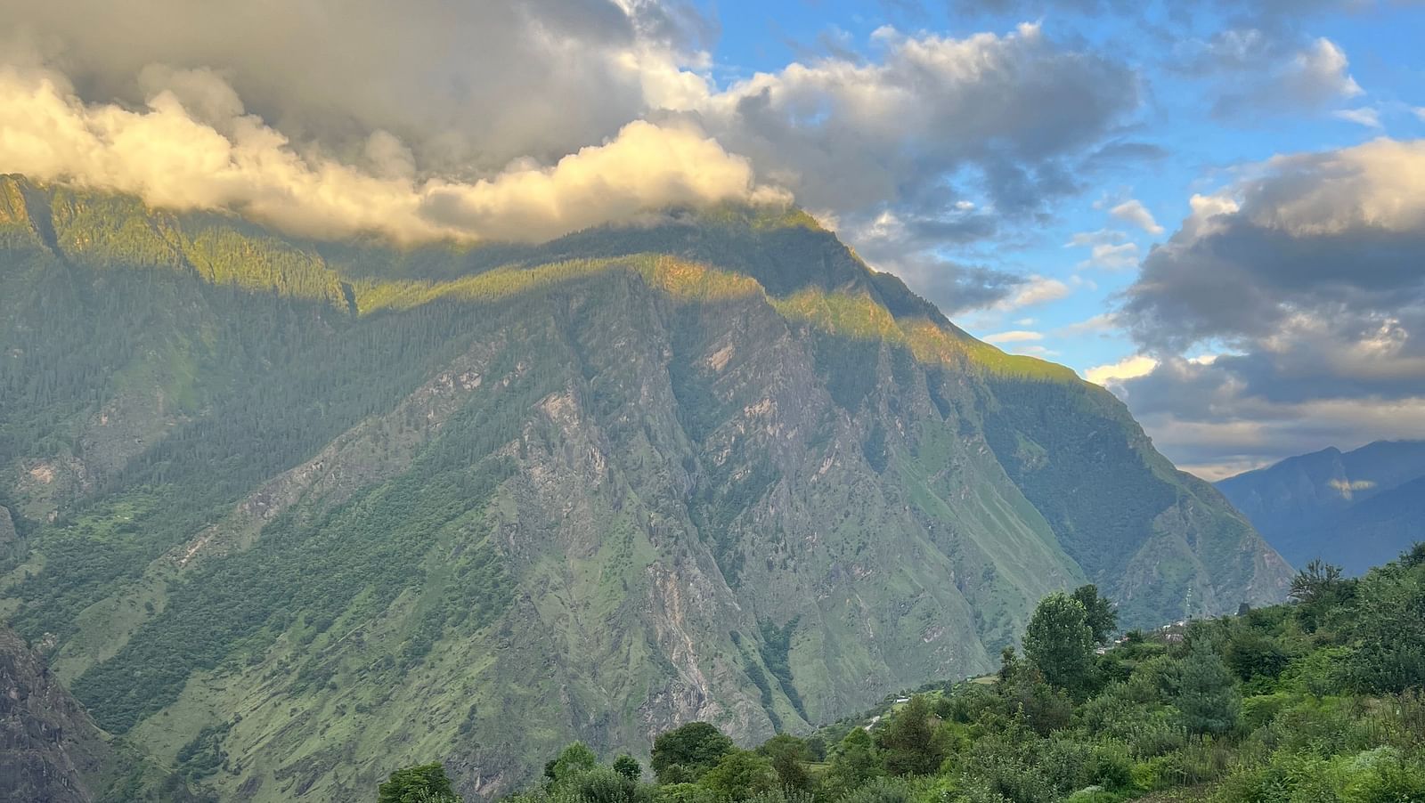 Image of lush forests with mountains in the background | Faraway Cottages, Auli