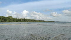 Scenic view of a beach with the background of trees and blue sky