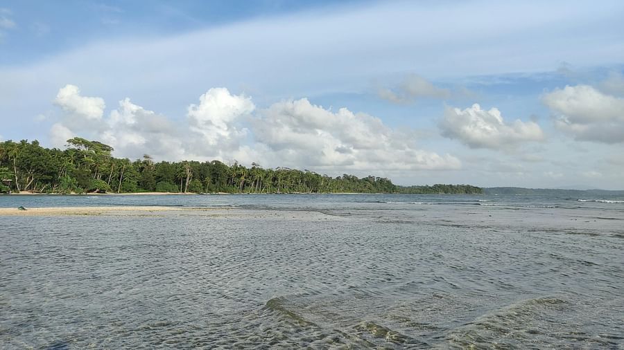 Scenic view of a beach with the background of trees and blue sky