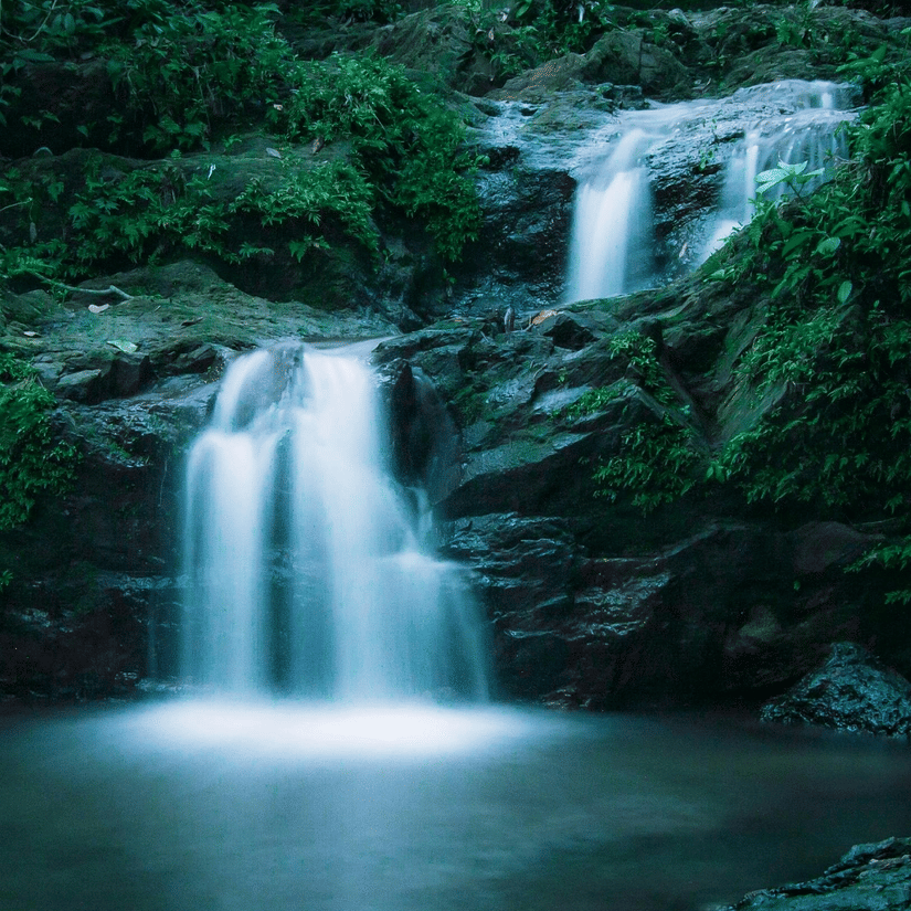The cascading waterfall in a dense forest surrounded by vibrant green vegetation.