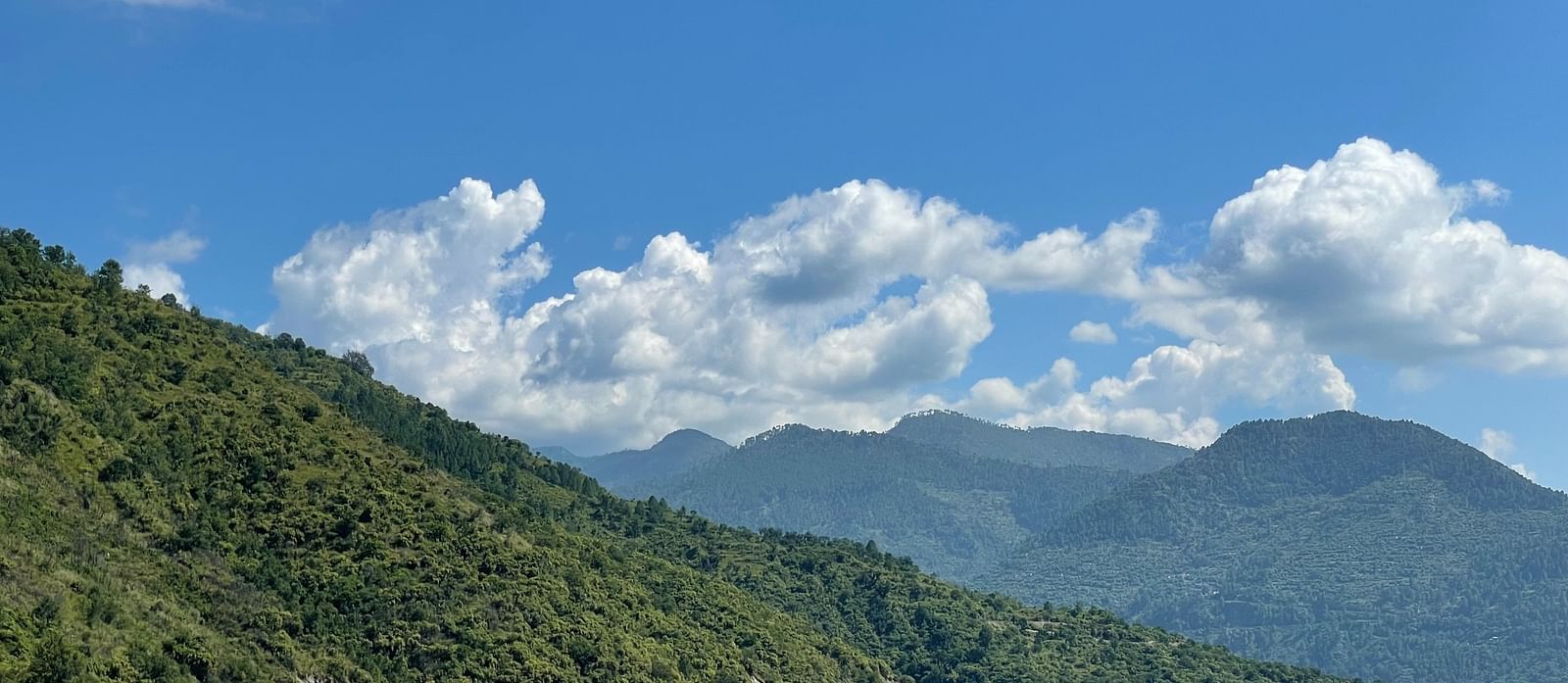 diljot-bhatia-mSjnYiP10oI-unsplash