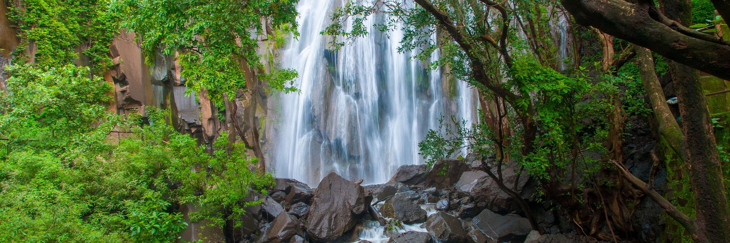 Iruppu Falls: A Scenic Gem Hidden in the Western Ghats