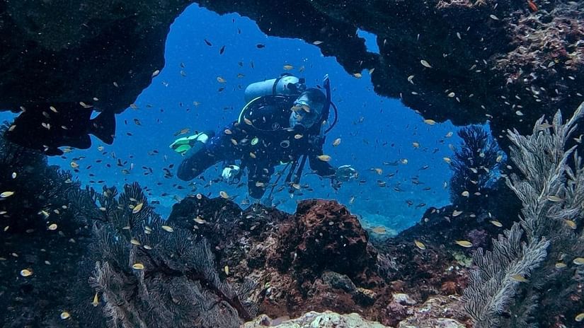 A scuba diver swims through a natural rock arch surrounded by coral and schools of small fish at a dive site in Havelock, Andaman Islands. 