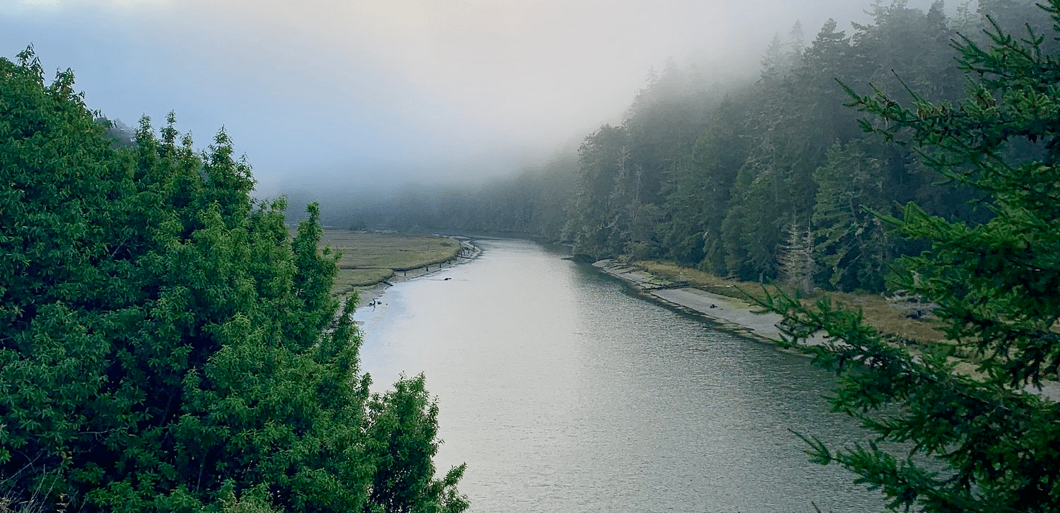 A river winds through a valley, flanked by trees and obscured by a layer of mist.