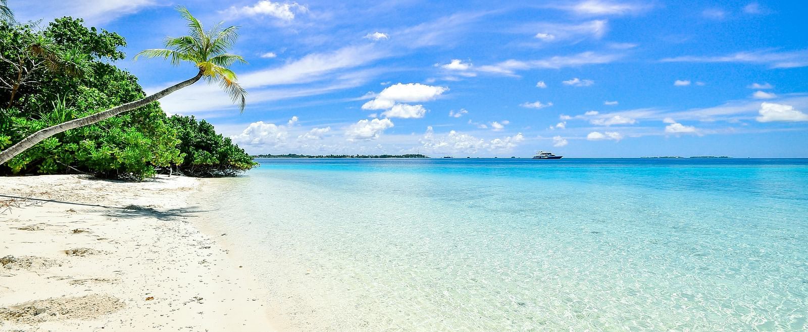 A pristine tropical beach with white sand and clear turquoise water, framed by lush palm trees under a sunny blue sky.