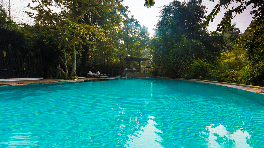 swimming pool-Reni Pani Jungle Lodge-hoshangabad hotel 1 fxoydy