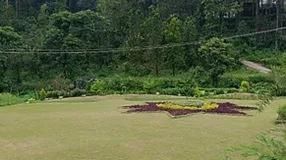 lawn
