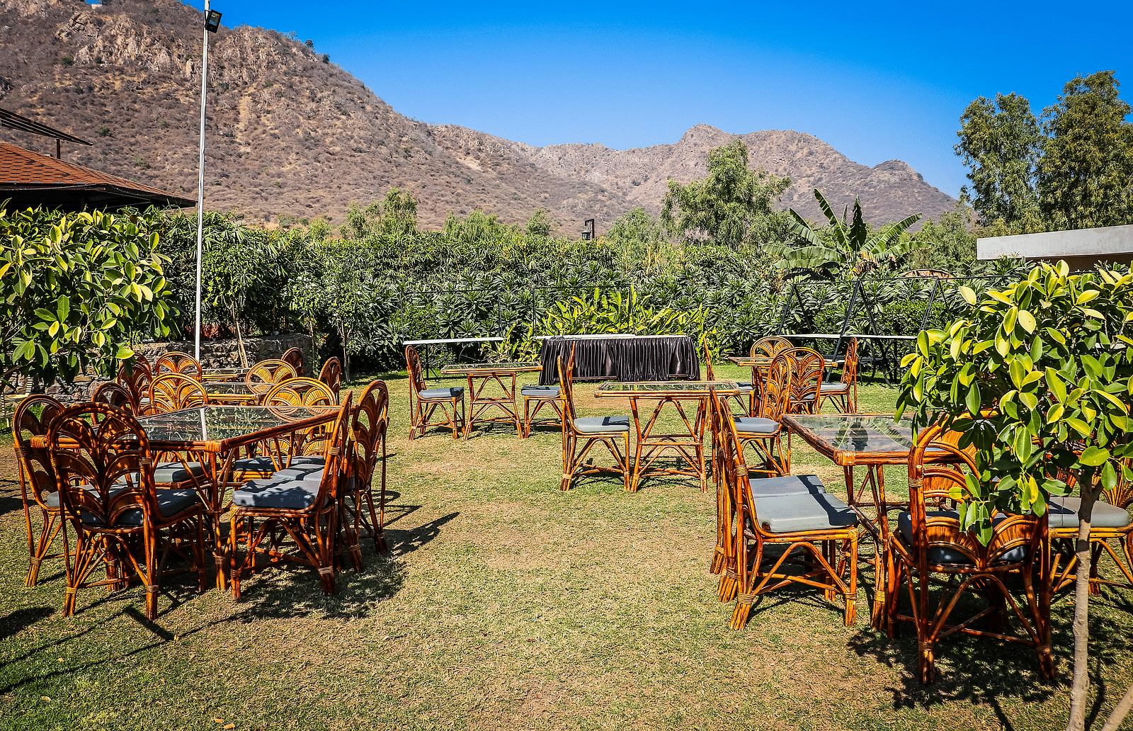 Outdoor dining area with wooden tables and chairs on a grassy lawn.- Bamboo Saa Resort & Spa, Udaipur