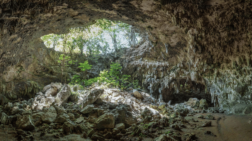 View from inside a rocky cave looking out to vegetation and sunlight at the entrance.