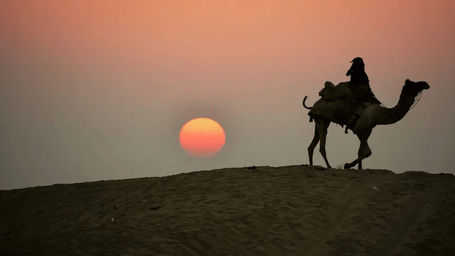 A man riding a camel in silhouette at sunset across sand dunes in the Thar Desert, Rajasthan, India.