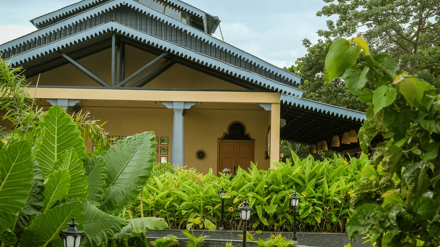 A stone walkway at Rhino & River Wildlife Retreat & Spa, Pobitora, leading toward a building with a peaked roof, surrounded by lush tropical greenery and large broad-leafed plants