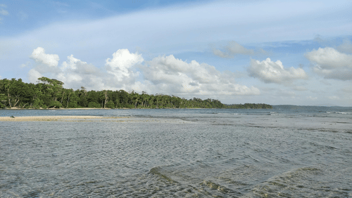 Scenic view of a beach with the background of trees and blue sky