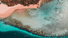 aerial view of a beach 