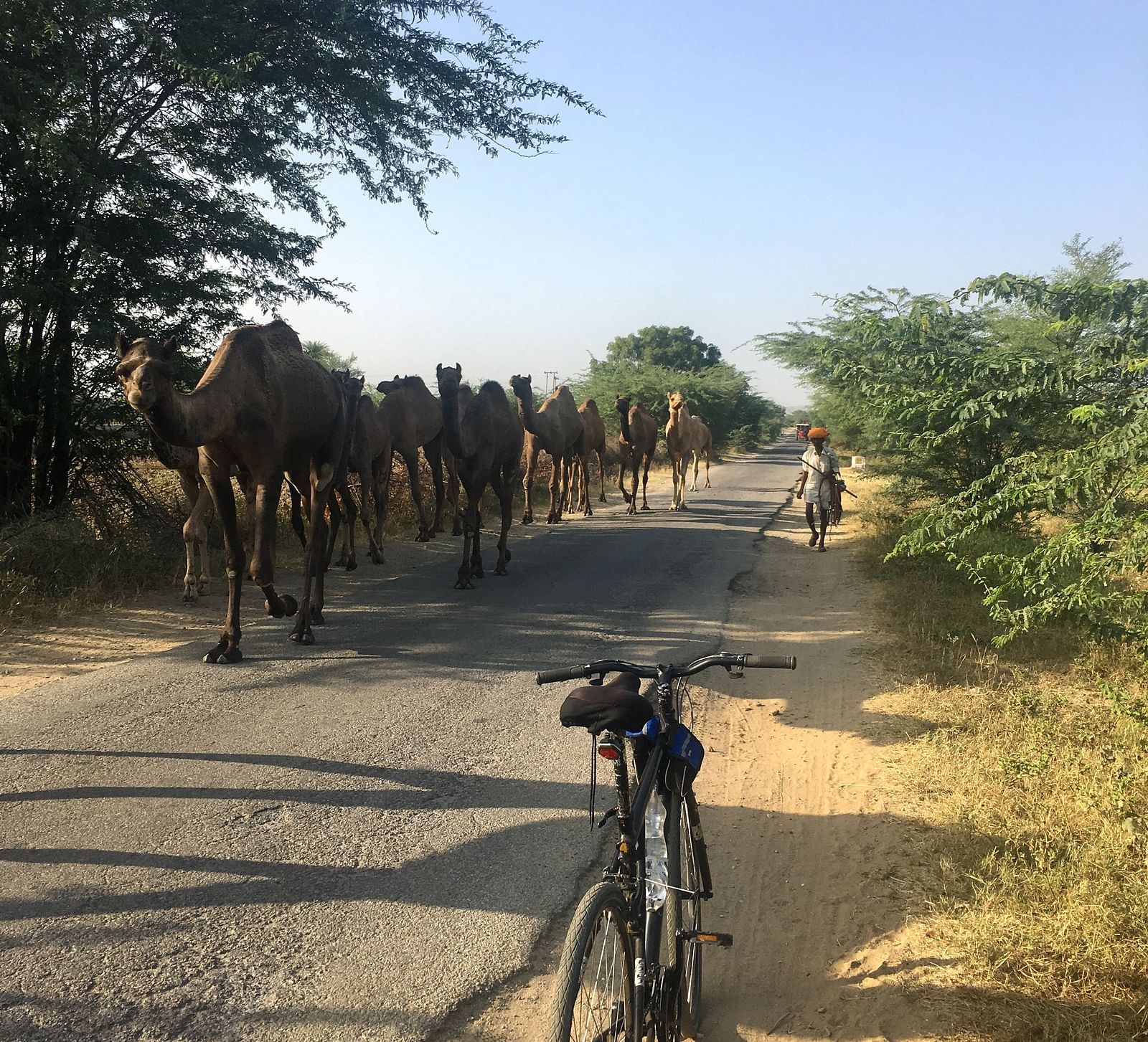image featuring a cycle parked on the roadside