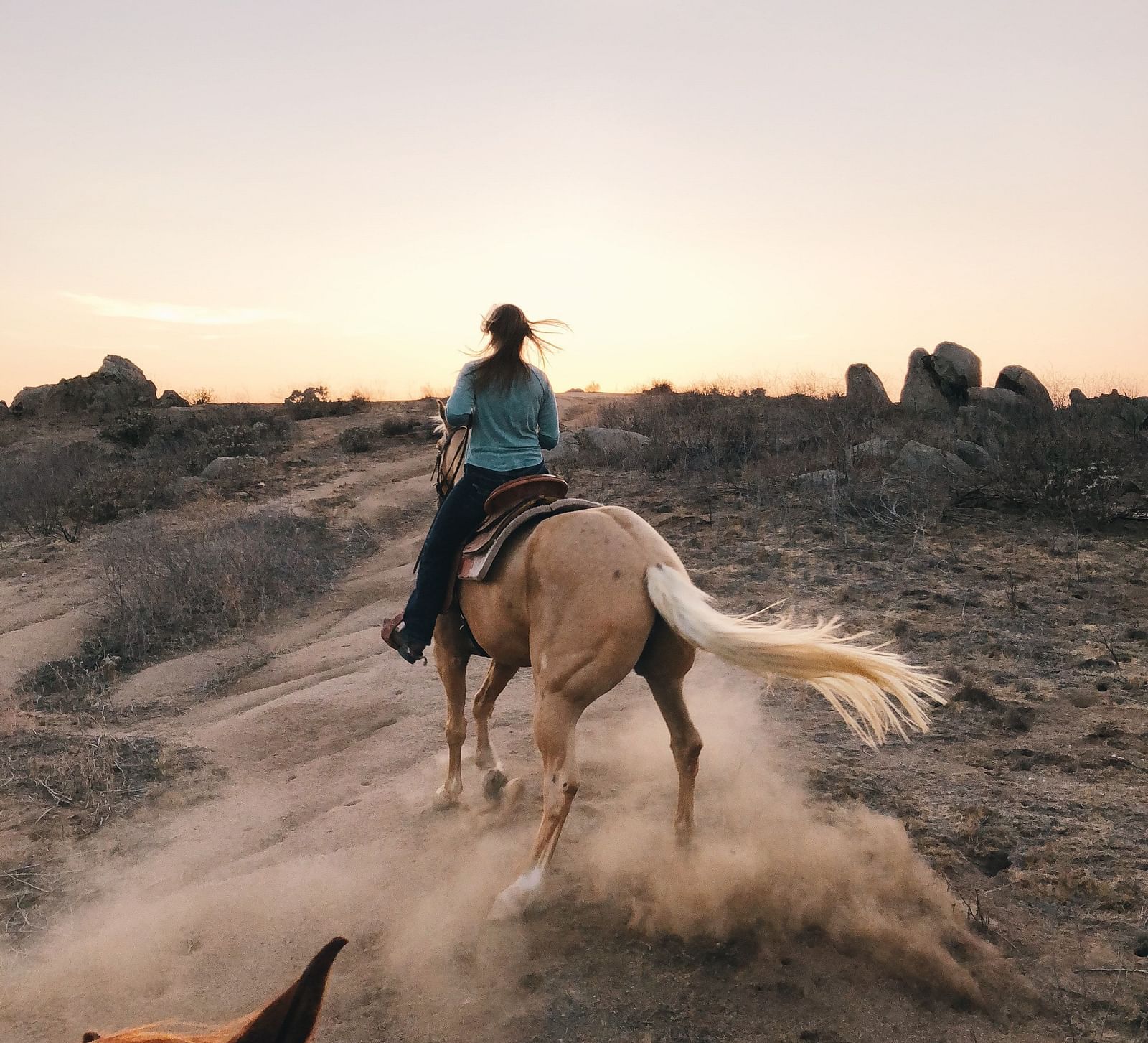 A person riding a horse on a dusty trail