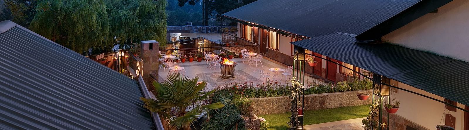 An outdoor setting with lush greenery and night time 