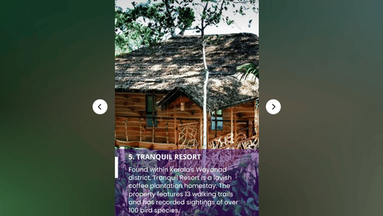 A social media travel story highlighting a wooden treehouse villa at Tranquil Resort, a coffee plantation homestay in Wayanad.