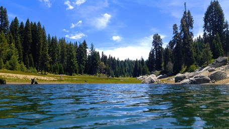 The view of the lake flanked by pine trees under a partly clouded sky.