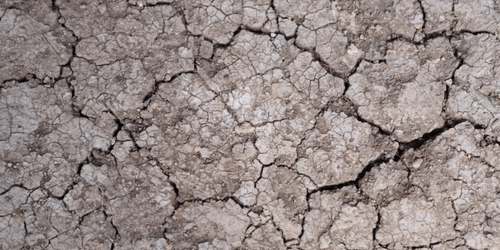 Dry ground with multiple cracks forming an uneven surface