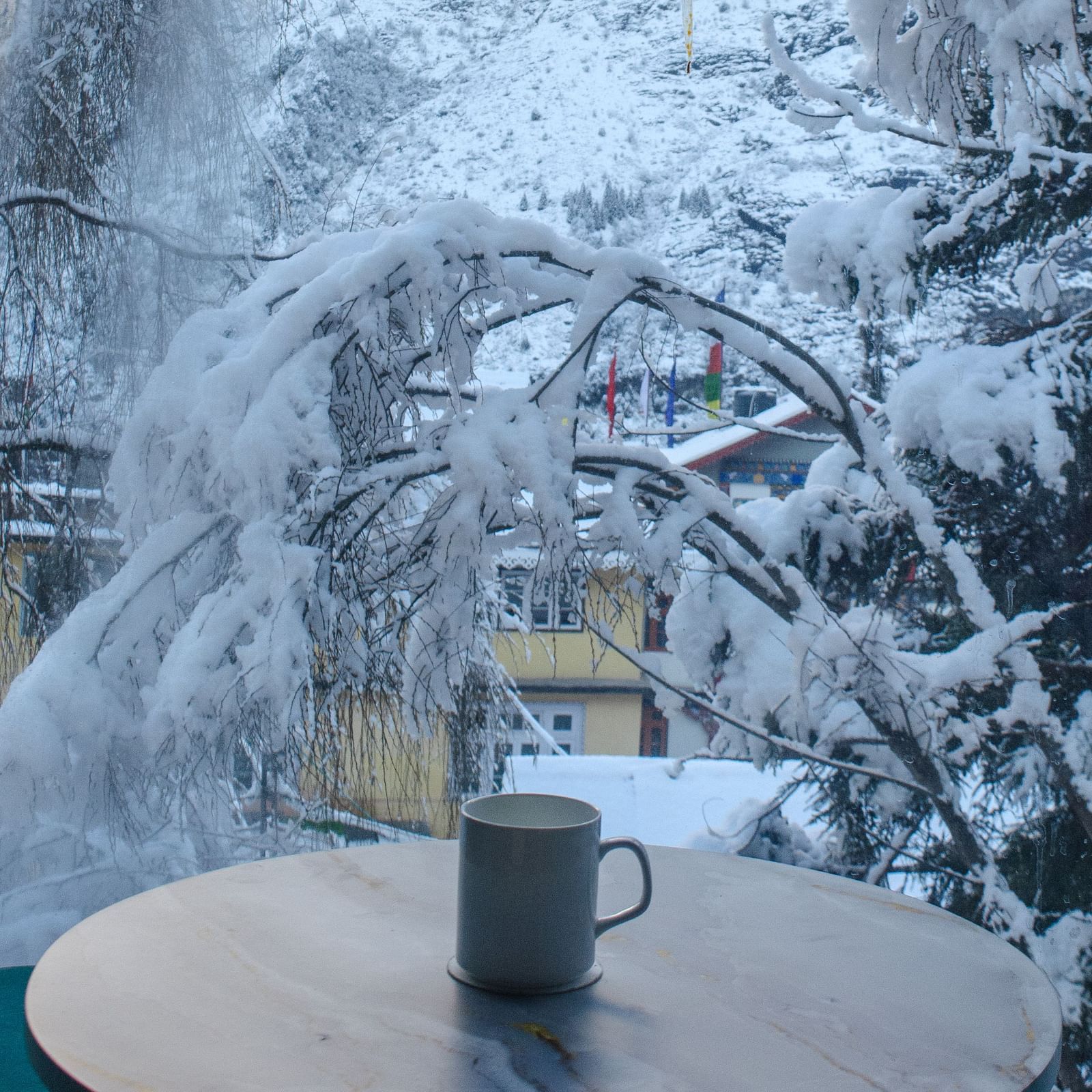 a mug on a table with snowy trees in the background