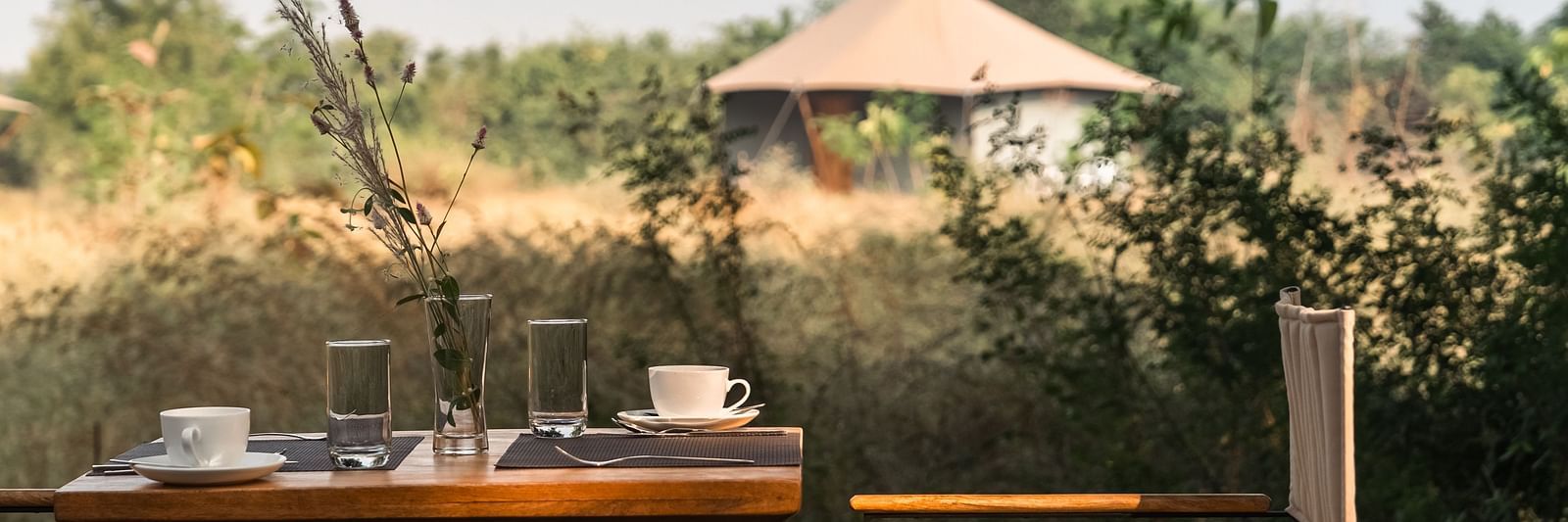 A tea table and a couple of chairs  at Trees N Tigers, Tadoba.
