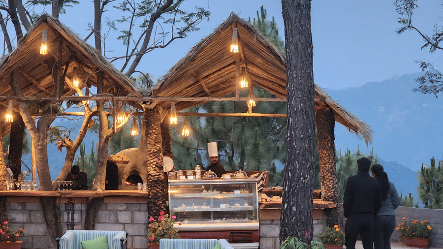 Outdoor gazebo dining setup at Suryavilas resort with warm hanging lights, a food display counter, and a couple enjoying mountain views at dusk in Kasauli