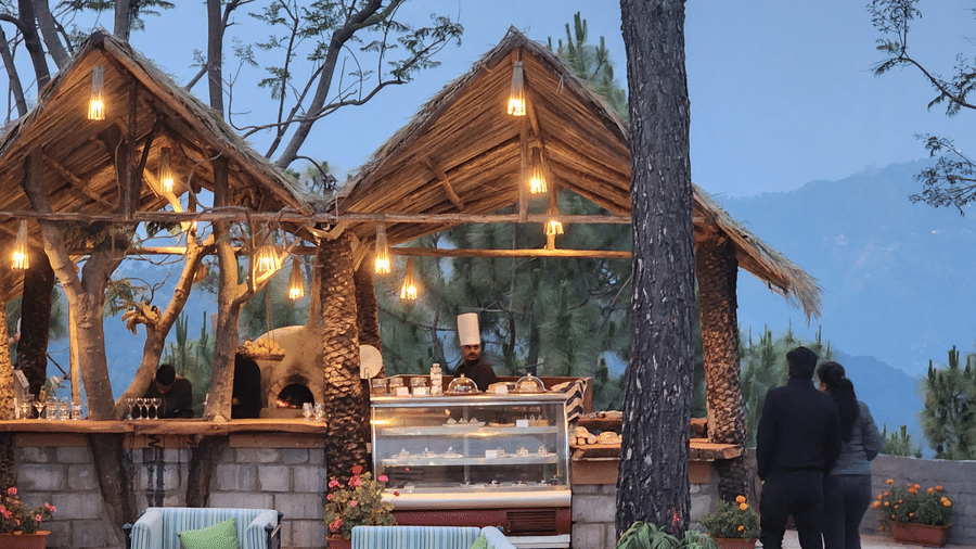 Outdoor gazebo dining setup at Suryavilas resort with warm hanging lights, a food display counter, and a couple enjoying mountain views at dusk in Kasauli