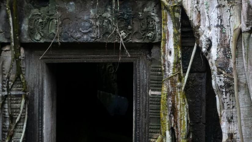 Image of a doorway with roots of a plant growing around it - The Dukes Retreat, Khandala