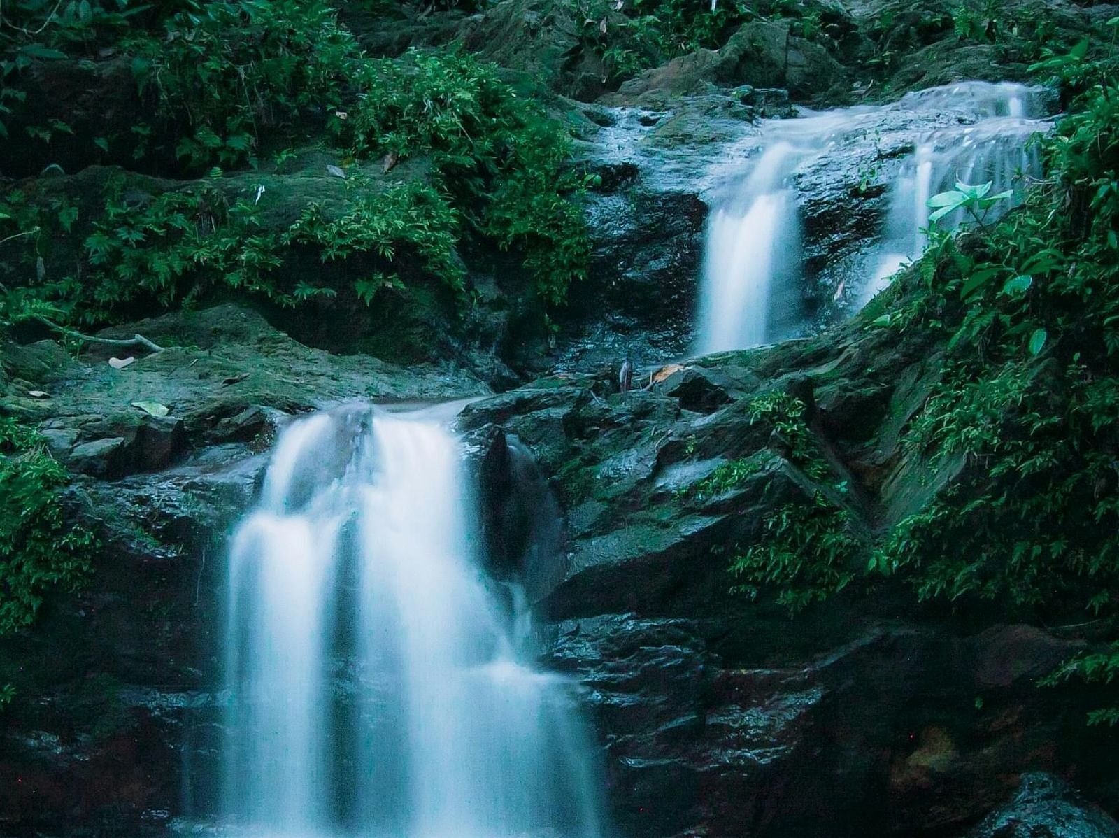 A view of waterfalls in a dense forest.