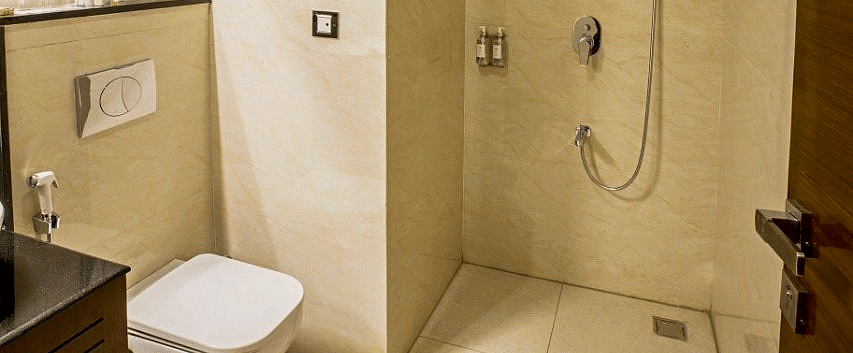 A bathroom featuring a commode and a shower area besides it at Regenta Inn DLS.