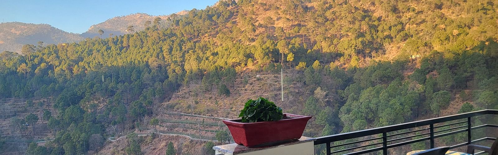 Scenic mountain view from a balcony with a potted plant and outdoor seating at Dagshai Manor Kasauli - Inde Hotels.