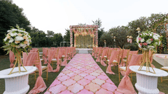 Wedding venues in jim corbett -The Golden Tusk