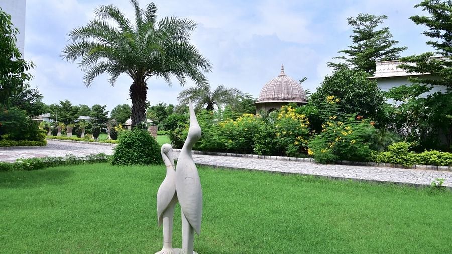 A lawn area featuring swan sculptures - Clarks Safari, Ranthambore