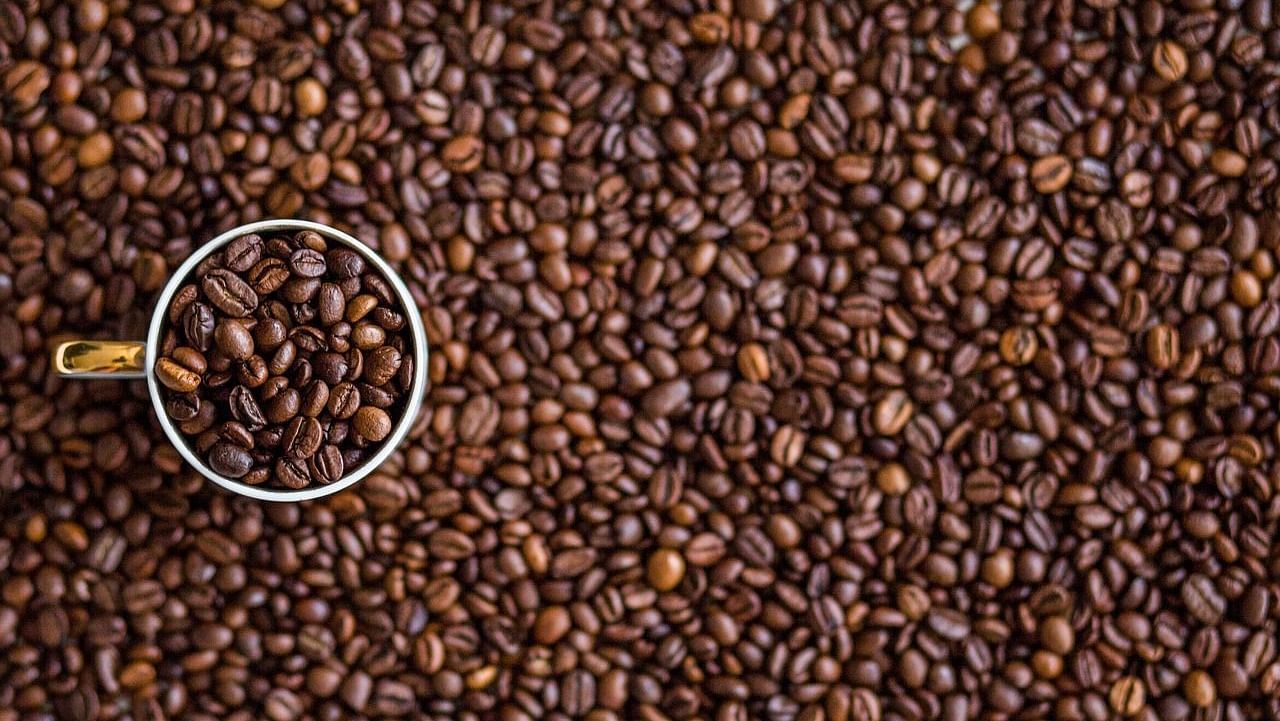 An image showcasing a spread of coffee beans, with a cup placed in the centre, filled to the brim with coffee beans.