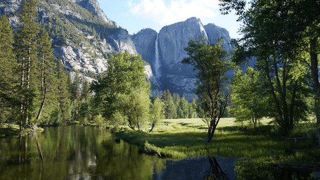 A waterfall in Yosemite National Park cascading through lush greenery, surrounded by towering trees and vibrant natural landscapes.
