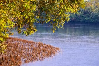 Summit Sunderban Resort, Sunderban