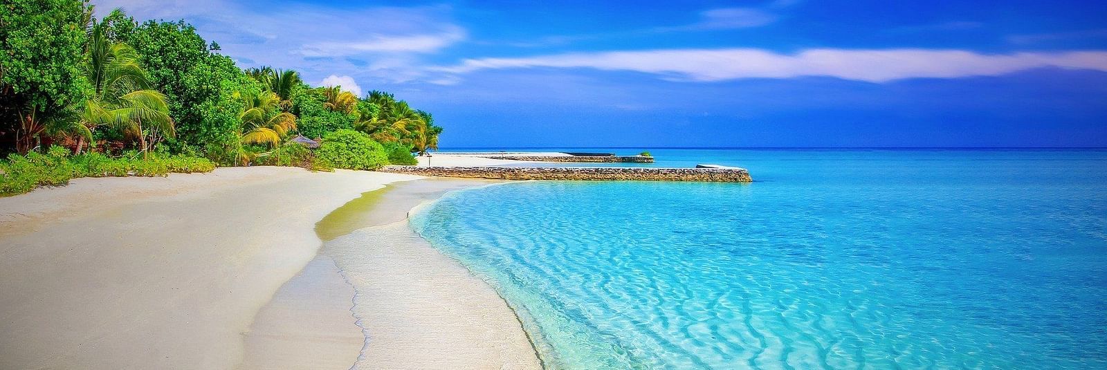 A secluded beach with turquoise water and trees on the side 