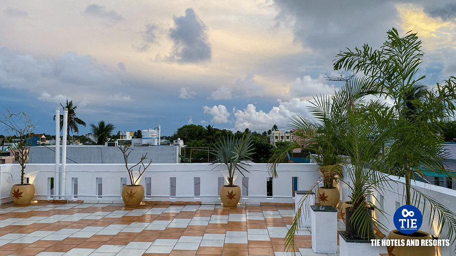 Terrace (2)