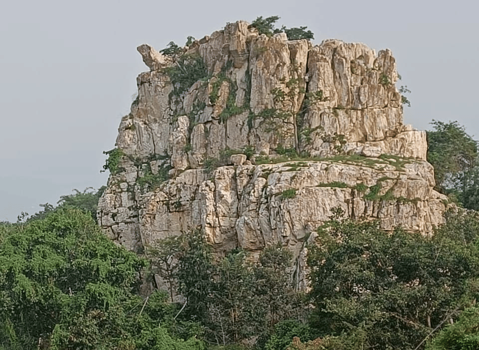 DNC shevaroys elephant rock trek image