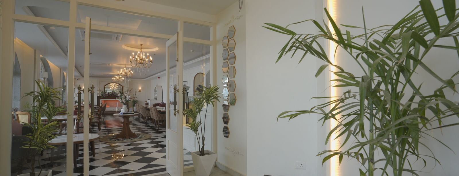 Glass entrance adorned with indoor plants and ambient ceiling lighting - Mayfair Cafe & Suites, Dalhousie