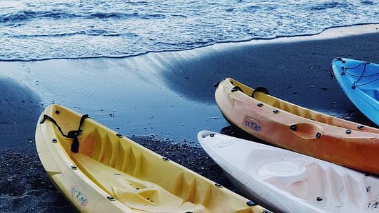 A calming image showing a set of kayaks on the sandy ocean shores