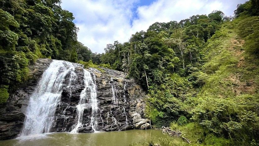 Abbey water falls amidst lush greenery