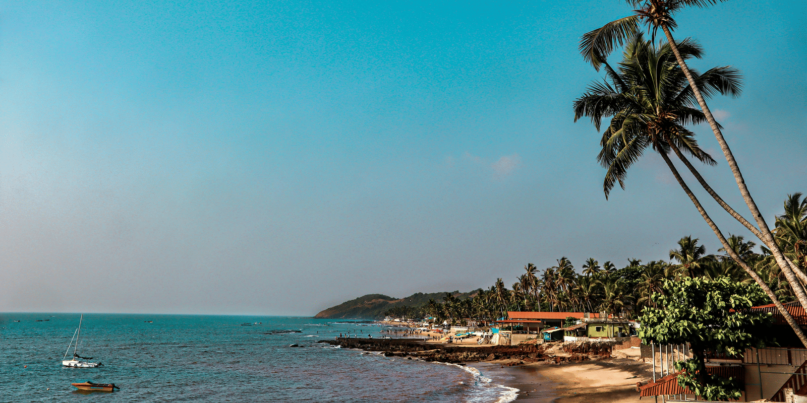 An overview of Anjuna Beach with the coconut trees and blue sky in view