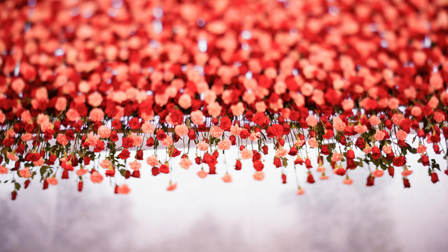 Close-up of hanging red flowers and petals used as decor for an outdoor event, creating a colourful and enchanting atmosphere at Black Thunder, Coimbatore