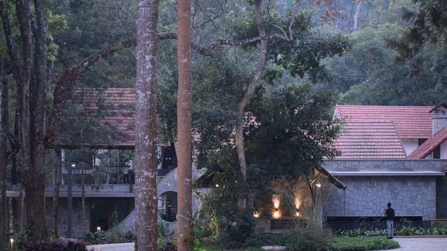 The Birchwood Retreat - walking area