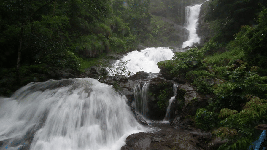 Iruppu Falls flowing through green forest in south Coorg