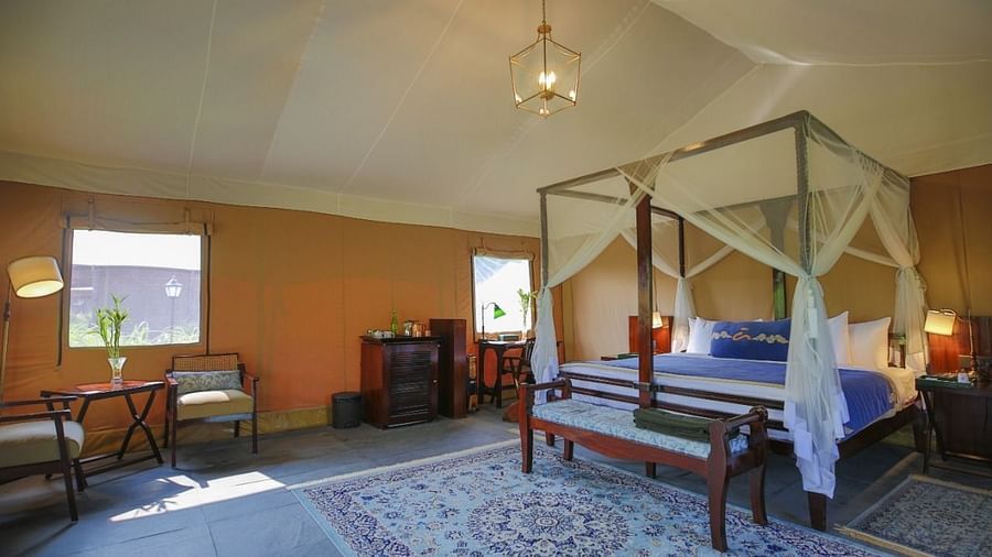 luxury king tents with a pendant light hanging from the ceiling - Aalia Jungle Resort & Spa