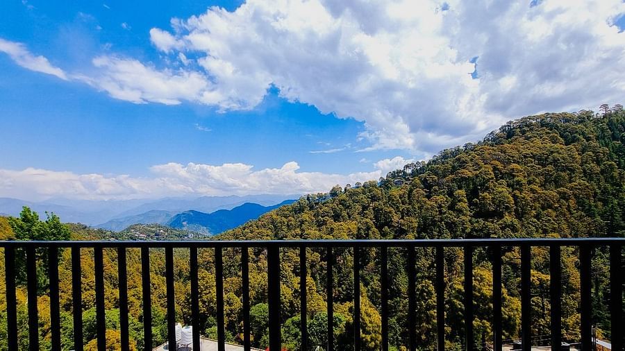 View of lush greenery from the balcony at Pines and Peaks, Dalhousie 